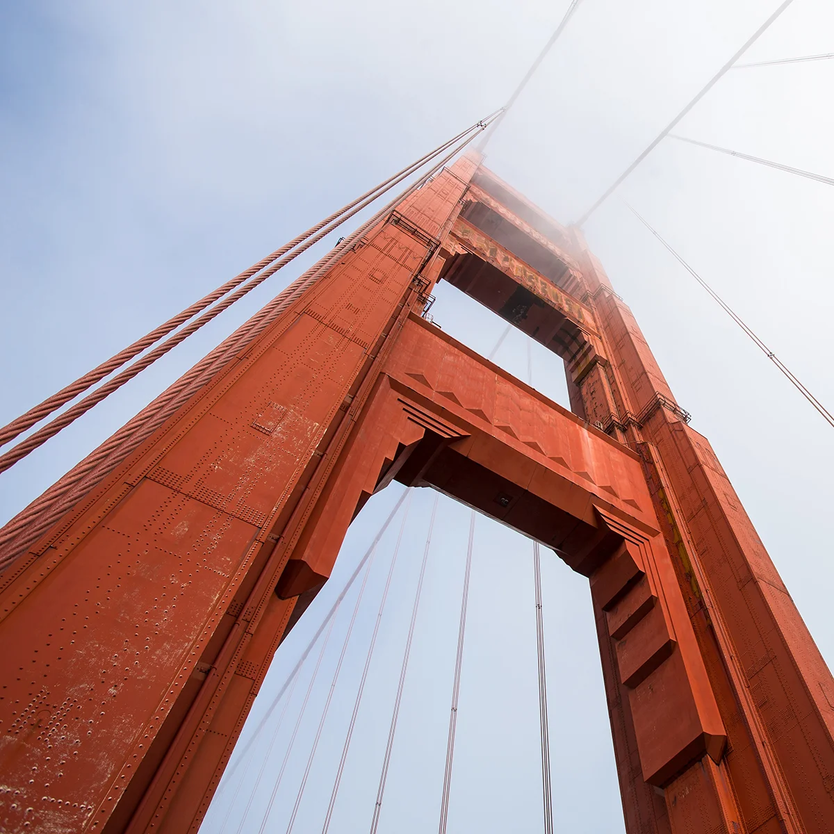 Institutional Design